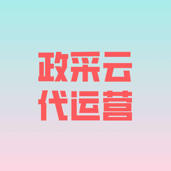 友谊政采云代运营